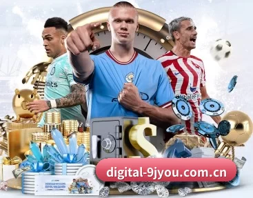 digital-9jyou.com.cn的故事